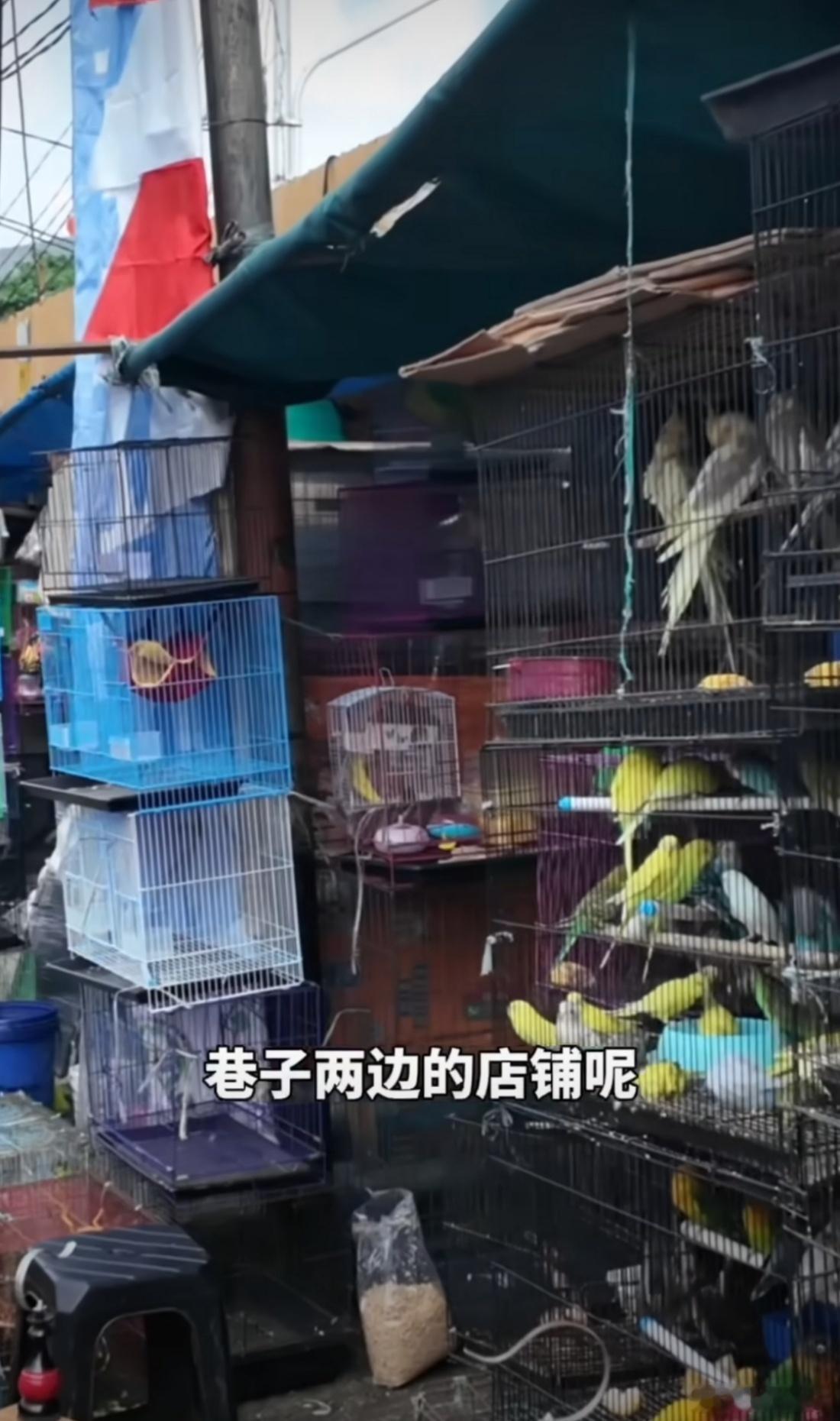 旅游博主自驾100多公里救援小动物对于这样的举动来说也是让我们大家觉得很温暖了，