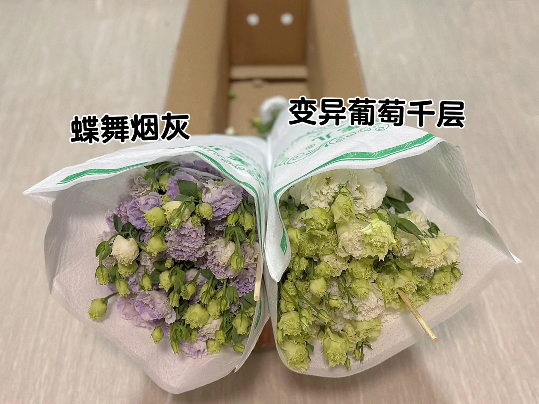 微微鲜花花茉儿洋桔梗🌸开箱