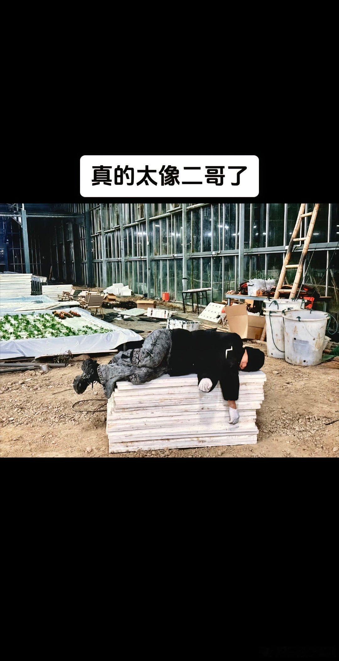 十个勤天[超话]77：我累倒了，心疼的人都去了二哥那里。[偷笑]这！这不是二哥~