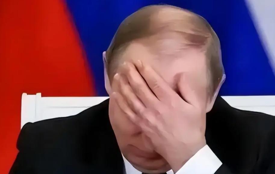 假如普京去世了，战争会不会立即结束？我直说吧，普京要是今天在任上去世了，你最好祈