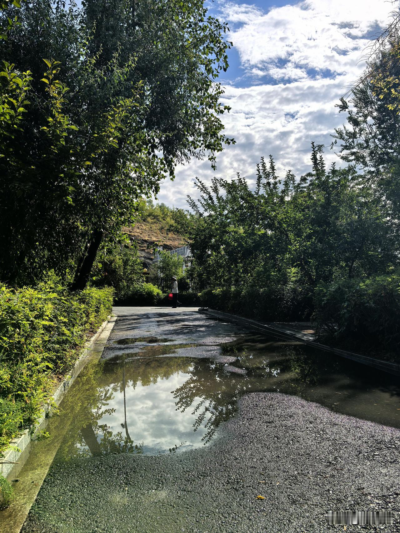 乌鲁木齐经历了昨夜的雨后，沐浴着今日清晨的阳光，小区路面和绿植，像洗过一样洁净和