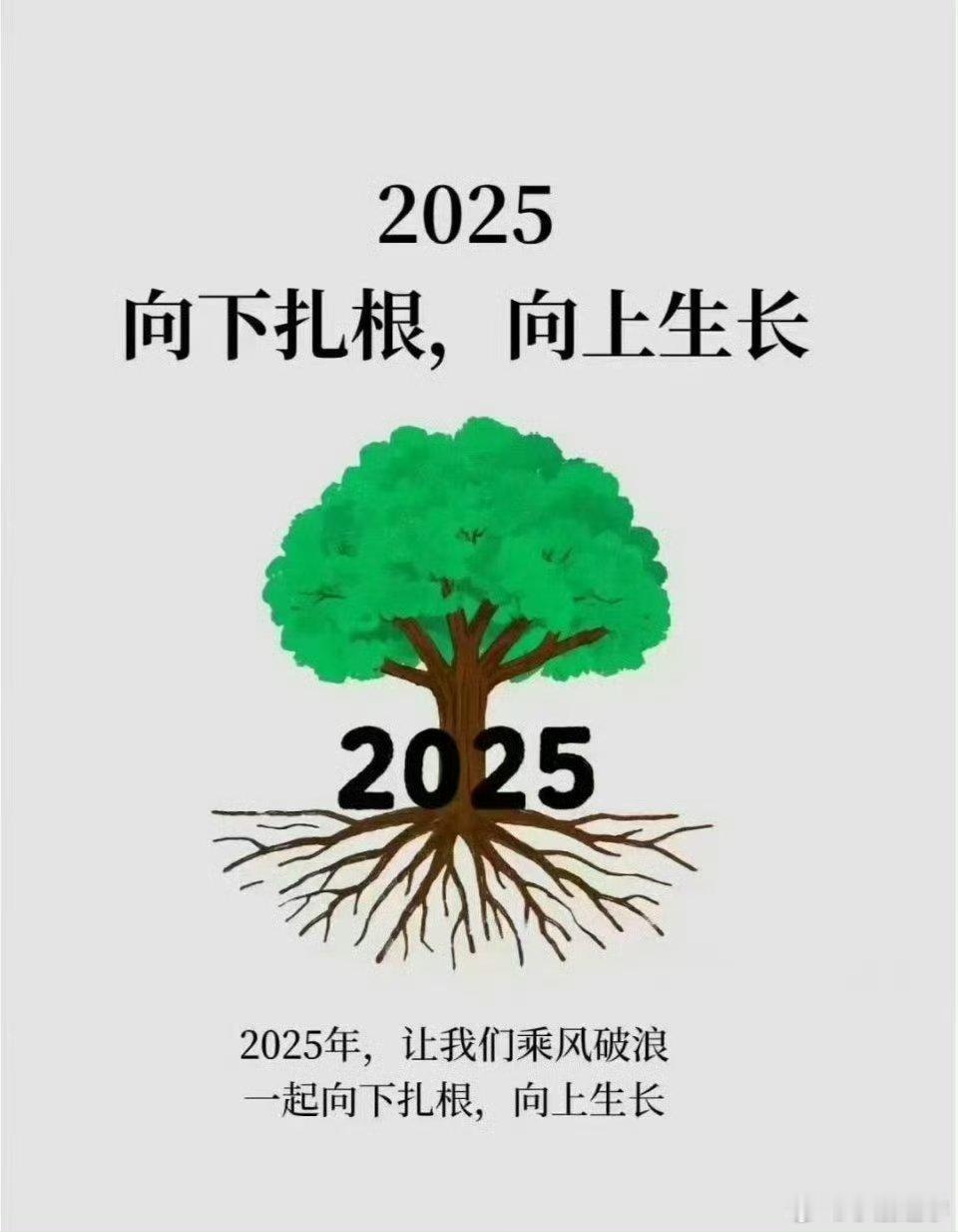 2025，向下扎根 ，向上生长。像今年的股市，年初下跌，全年上涨。 