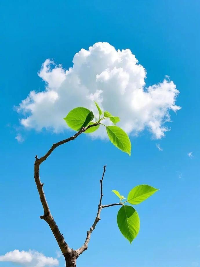 与一朵云对坐，虚度半日浮生～ ​​​