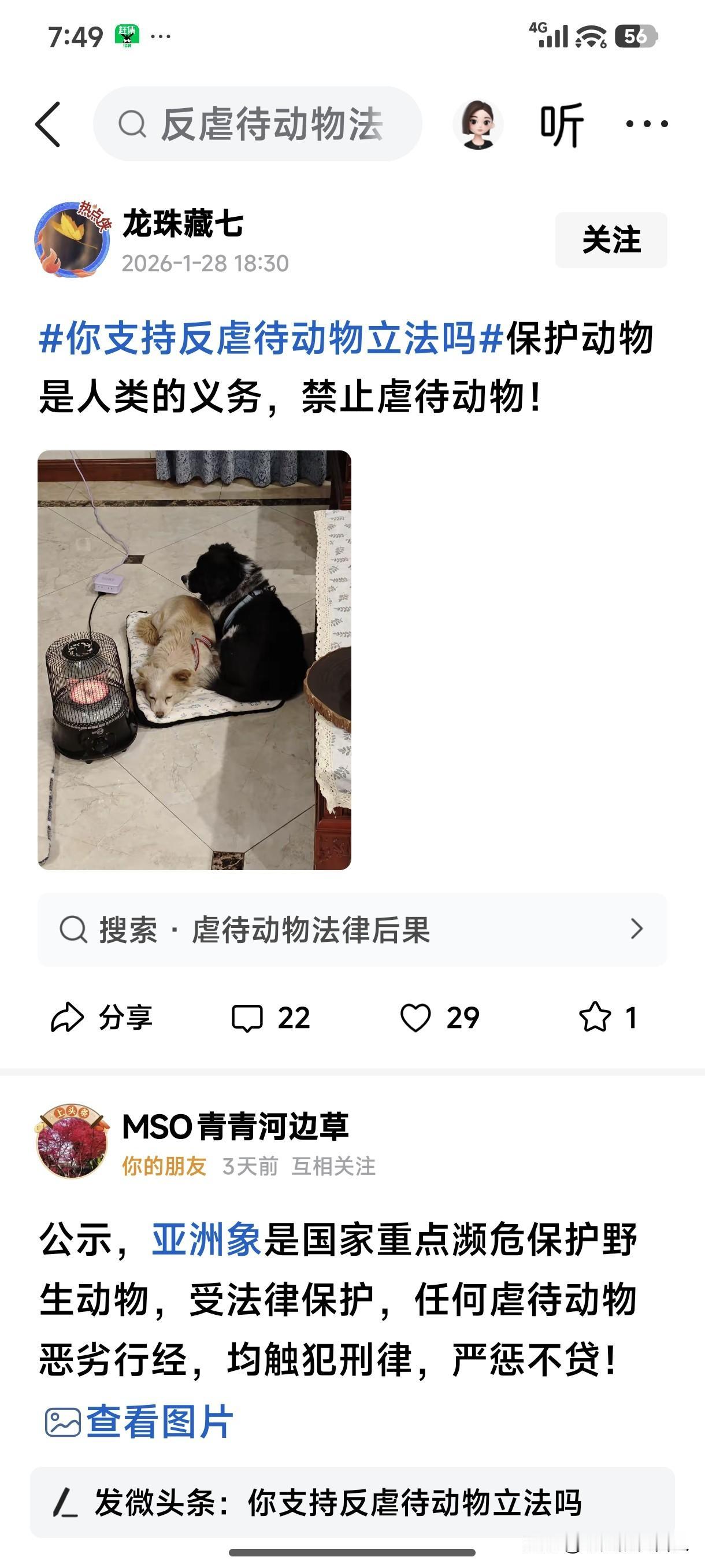 必须支持！支持立法！“保护动物人人有责”！
现在我国养狗人还是太少，应该要一家必