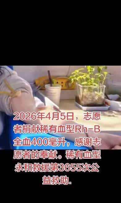 熊猫血救助。稀有血型永和救援日常记录 2026年4月5日，志愿者捐献稀有血型Rh