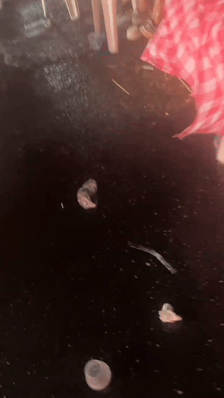 "这老板真扛事！"浙江衢州，一烧烤店生意正火爆，突然狂风暴雨把大棚和桌椅全部掀翻