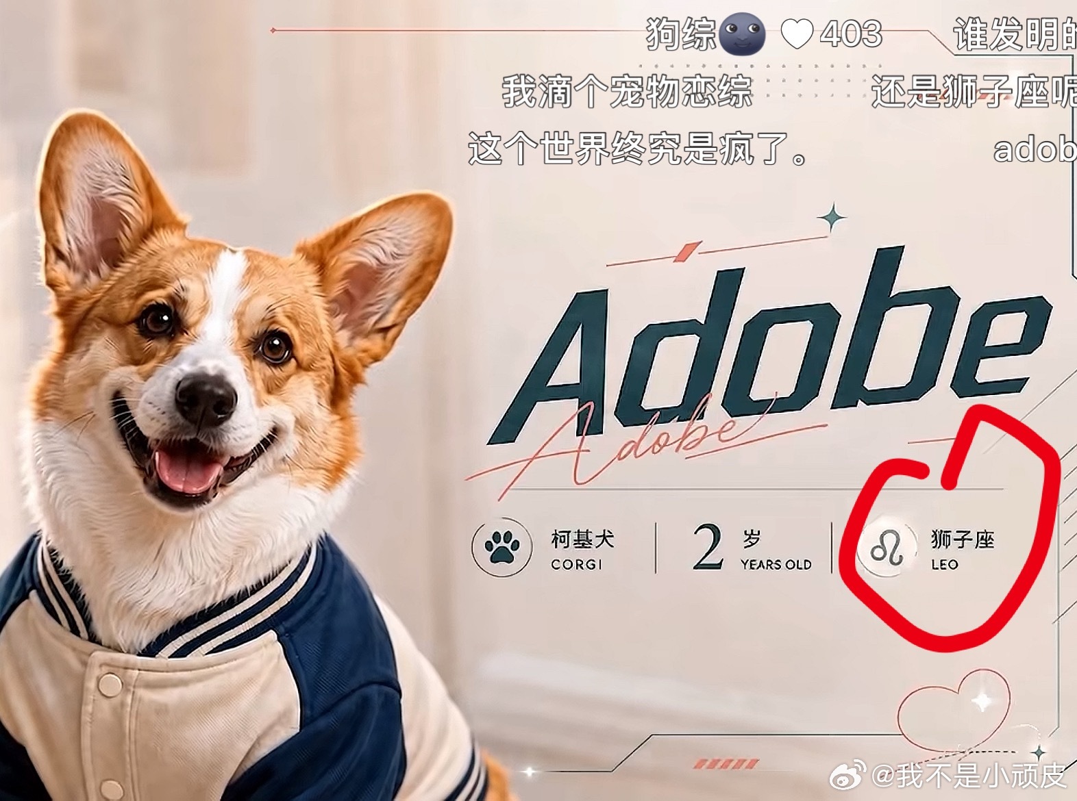 分享图片 ​​​