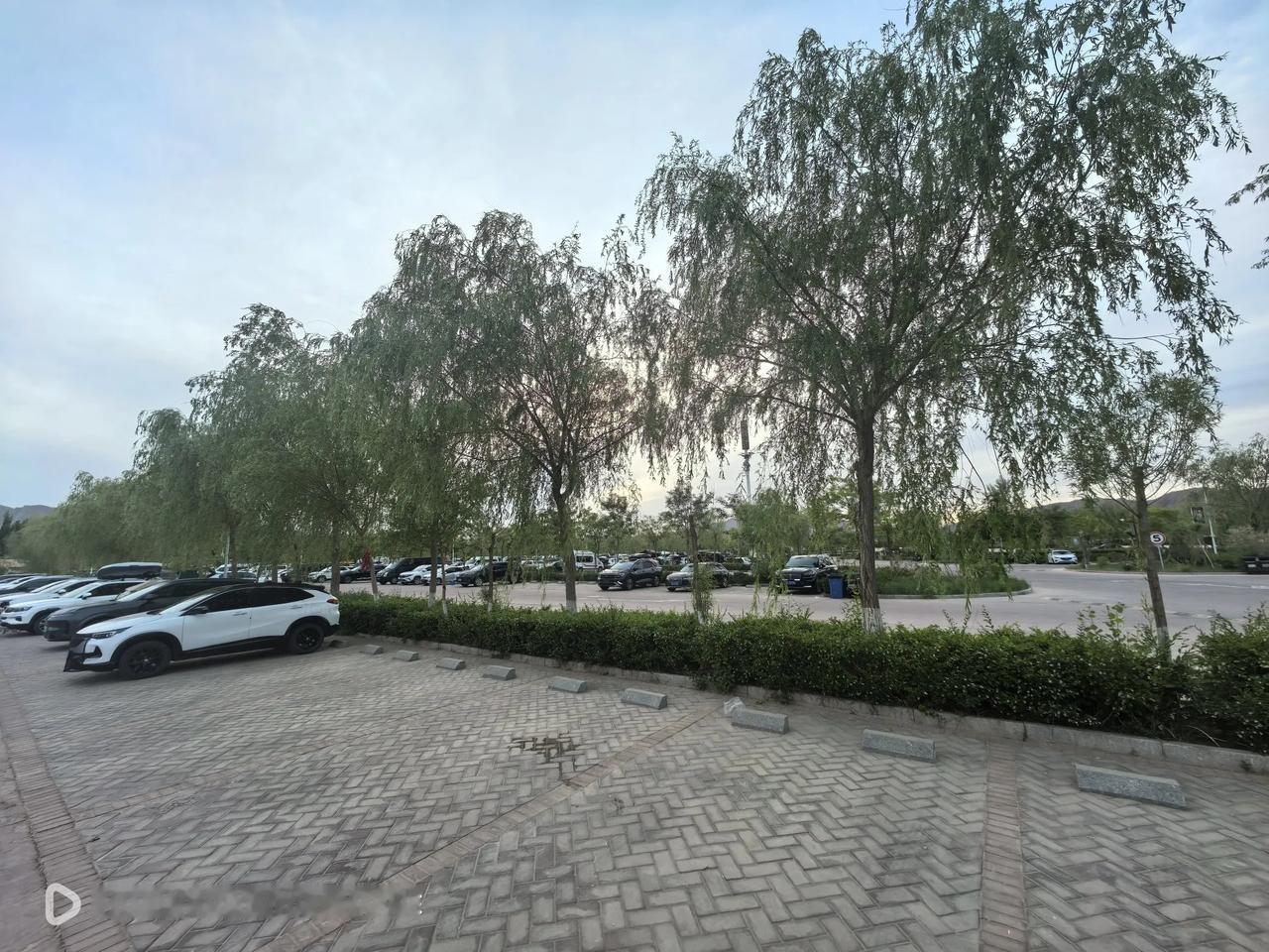 今晚在七彩丹霞景区北门停车场露营：今天中午，我一行离开武威，前往行程第四站---