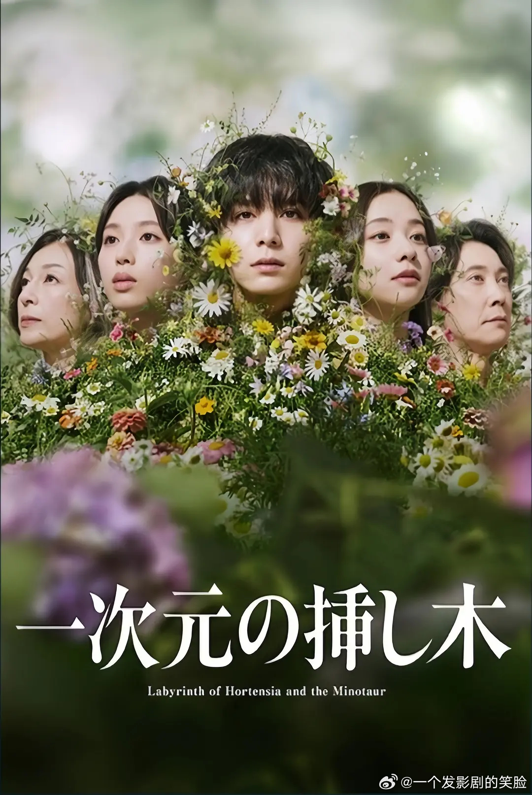 【日剧】我的虚构  更至第1集爱情/悬疑主演: 玉森裕太 / 森川葵 / 宫泽艾