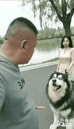 太好玩了，男人一个不经意间的动作，把大狗连带着女孩一起拖进了水里。
没养过狗不懂