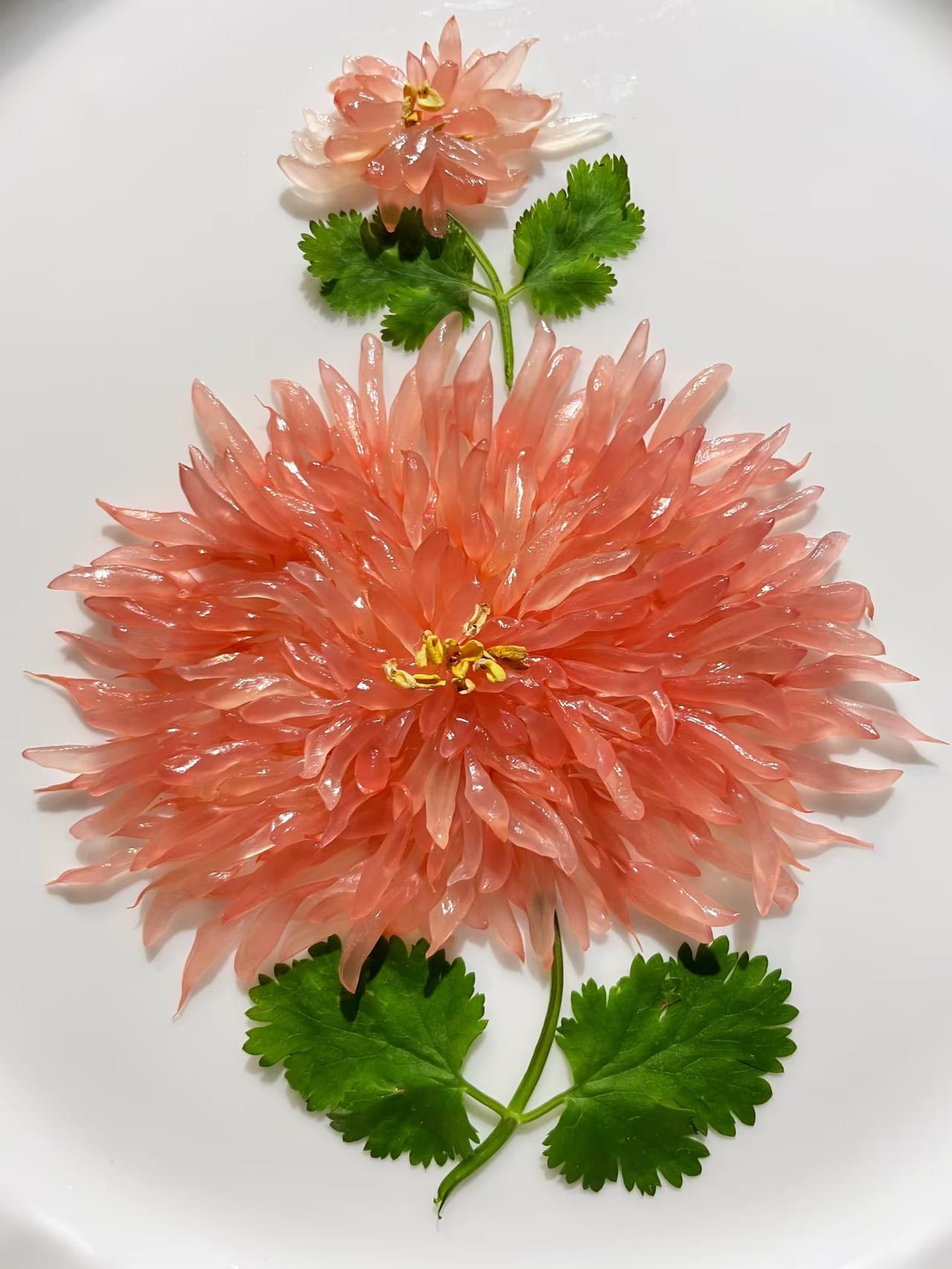 请大家赏菊，看完记得点个赞再走