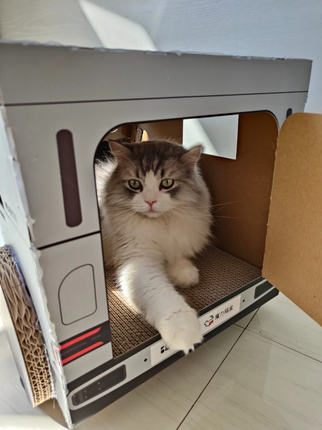 恭喜柚子🐱喜提爱车~