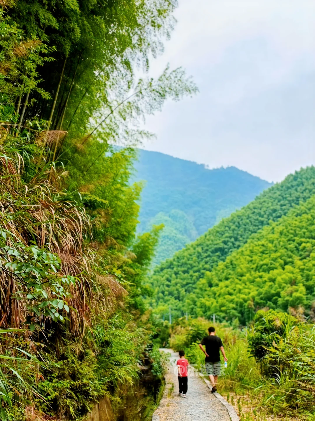 普通家庭带娃旅行🎒过来人说几句大实话！