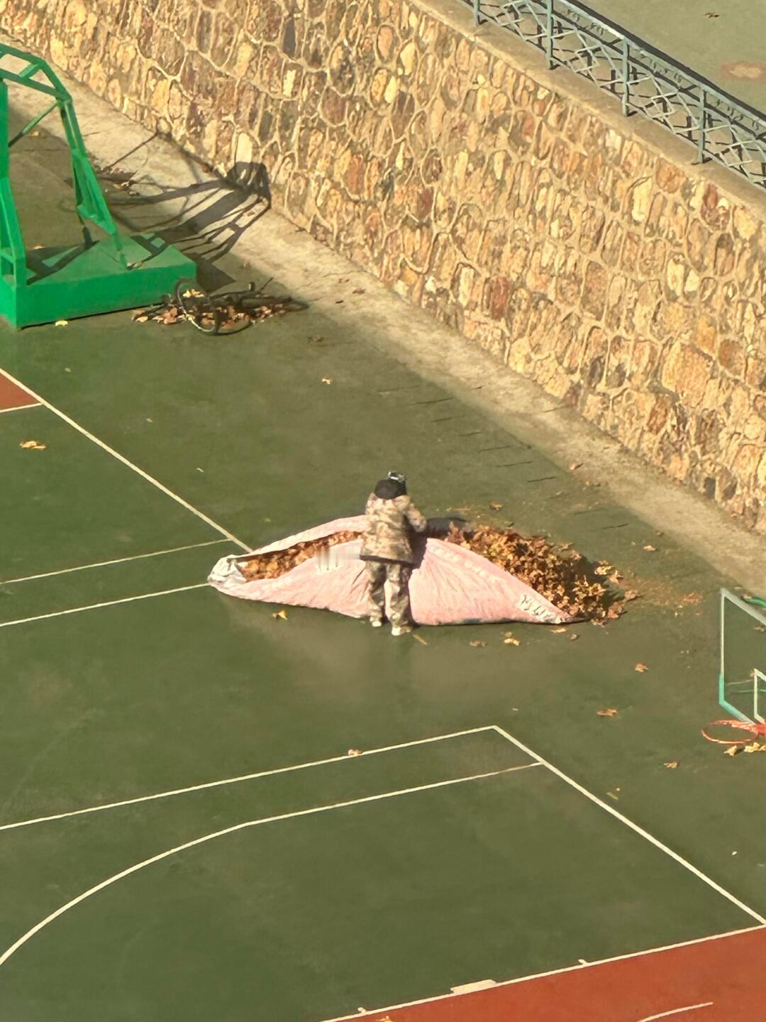 原来操场的落叶是打包带走的莫名的可爱诶 