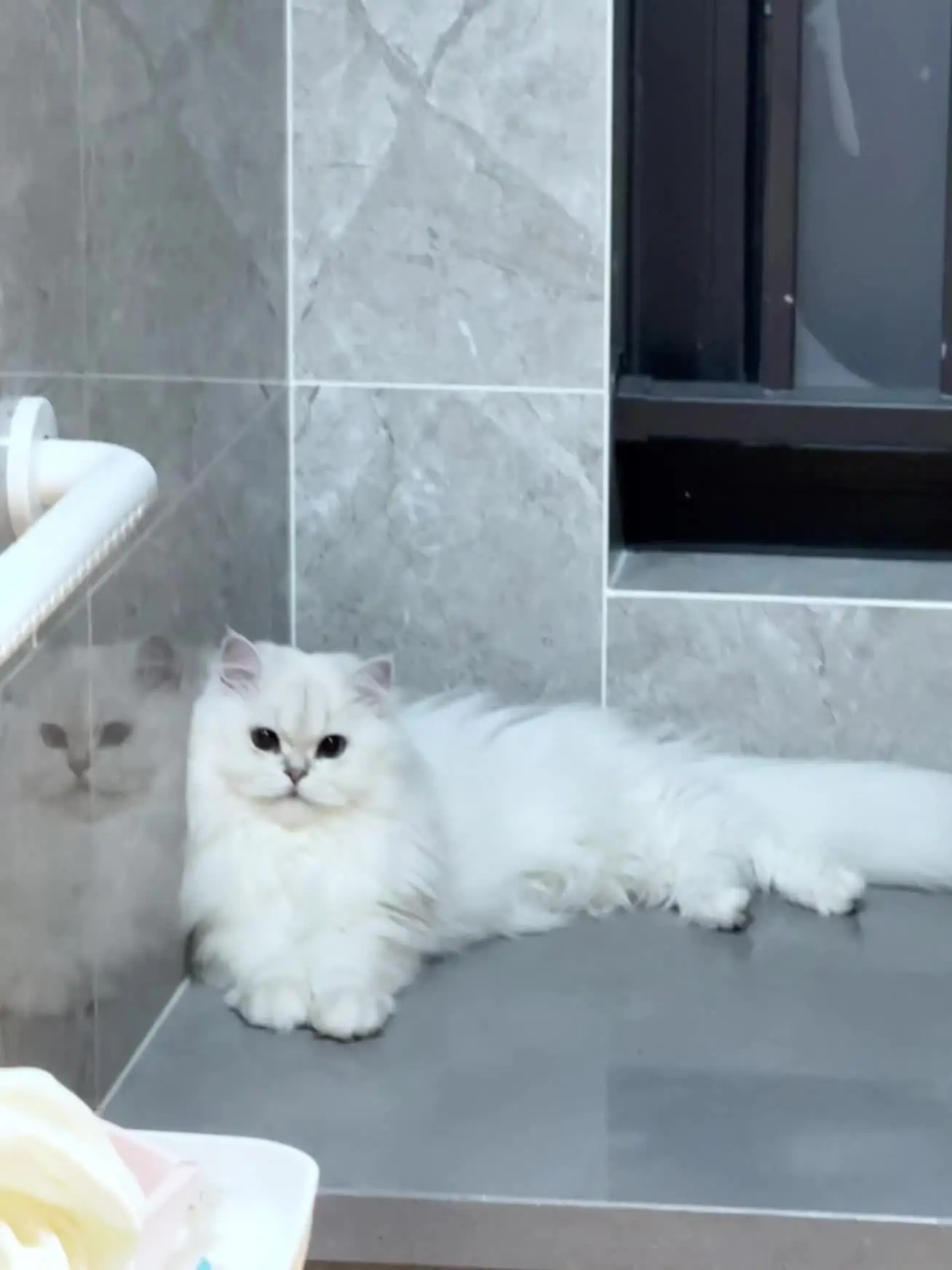 平静生活里的碎片