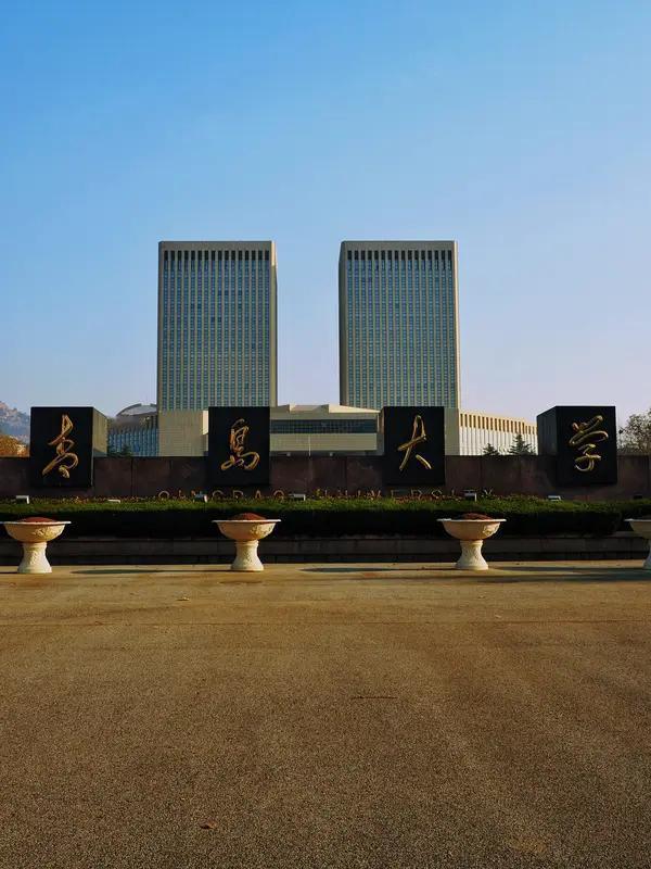 男子造谣青岛大学校徽像旭日旗被拘，这事儿真该引起我们反思。旭日旗是日本军国主义的