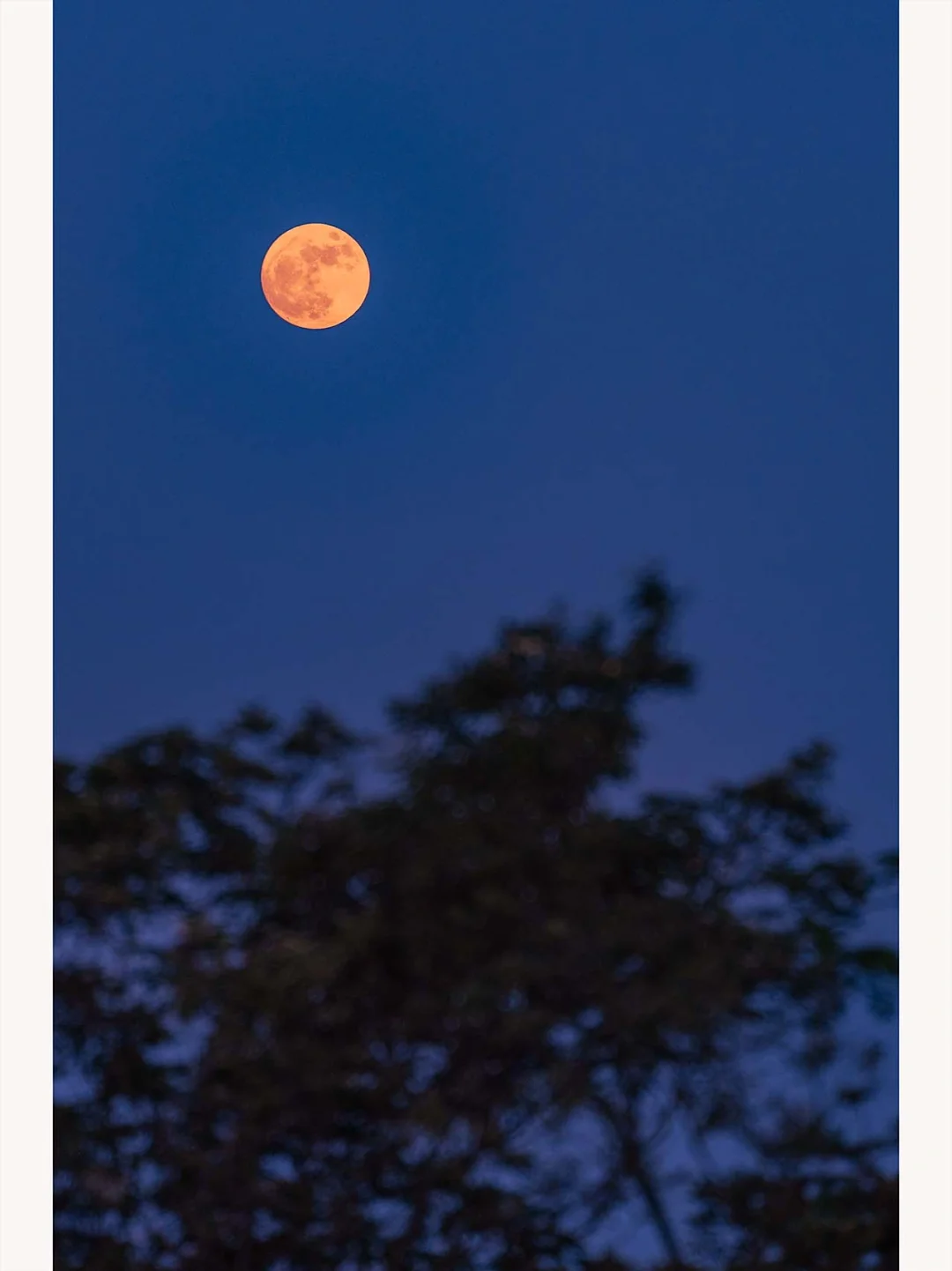 登山5小时，拍超级月亮值嘛？