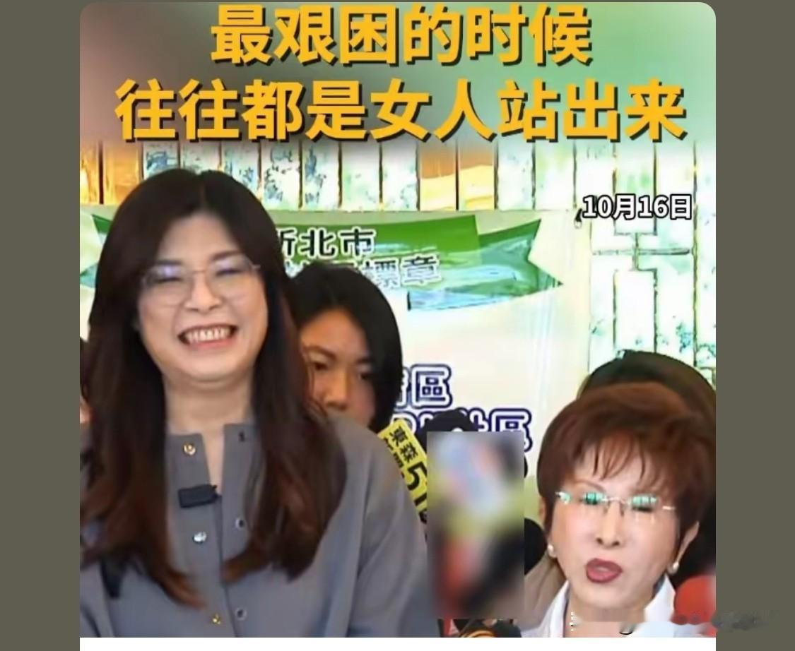 郑丽文历史知识认知不足，但从头到尾分析她的所有言论，她还是一位爱家爱台爱国的普通