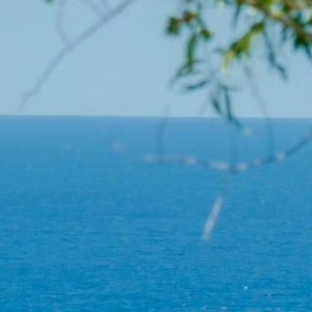 1900记忆里的爬山虎枝叶疯长，阳光透过格子窗，课桌倒映出少年的侧影，笔记上的墨