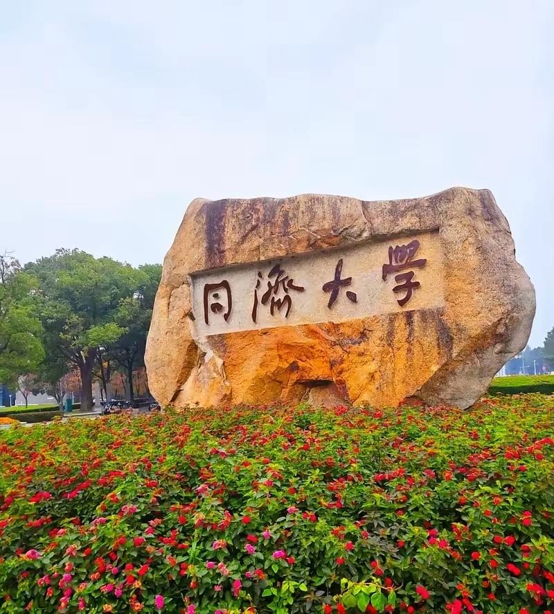 同济大学一纸“非升即走”通知把网友整破防了，三年一小考六年一大考！

网友在意的