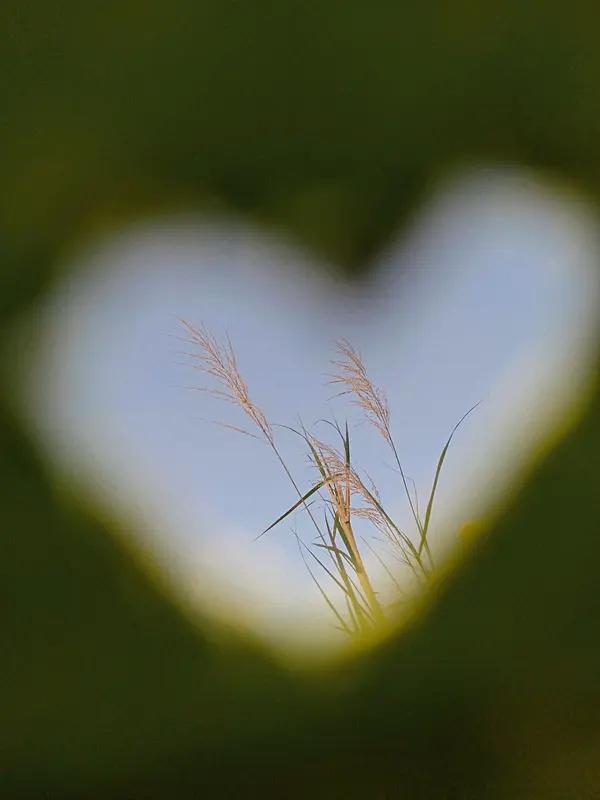 人到老年，最值得炫耀的是什么

人到老年，最值得炫耀的，从来不是存款多少、房子多