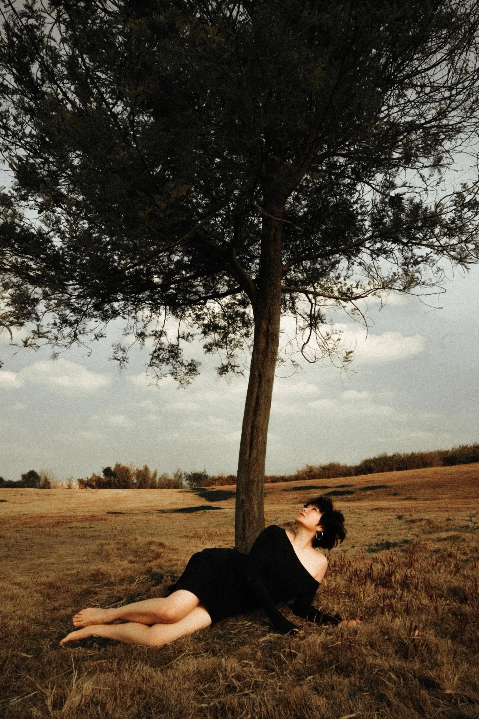 一棵树🌲的浪漫。是站在原地， 等一场不会回头的风。 叶落成诗，心却空无一人。