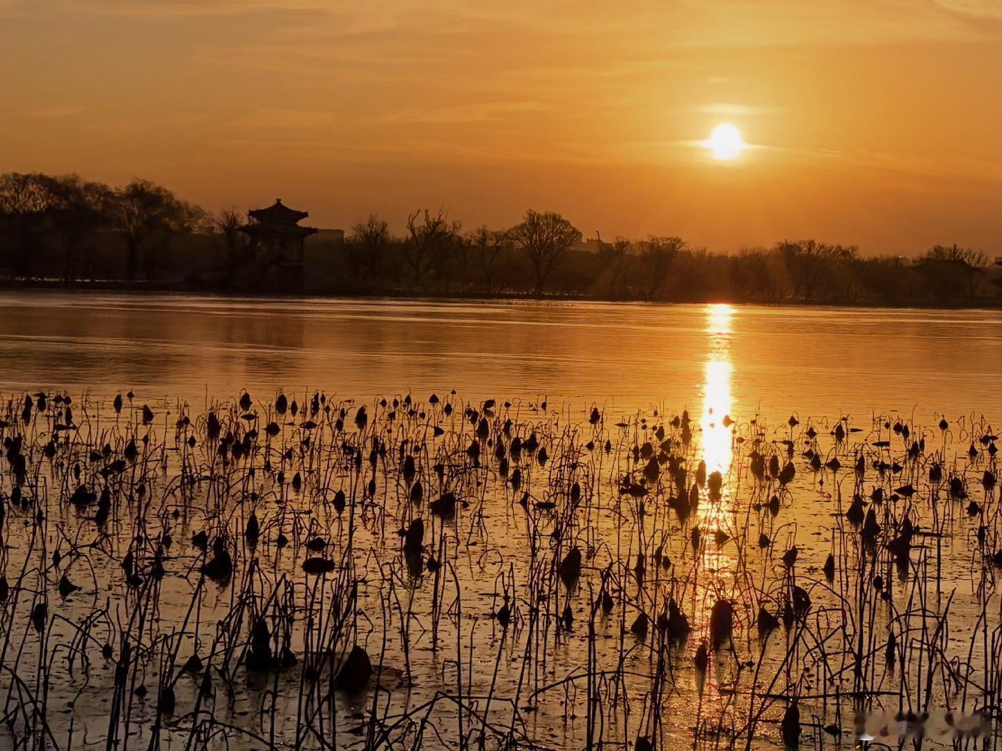 我曾经建议过，证监会工作人员的工资应当提高，例如说处长应当到100万-150万的