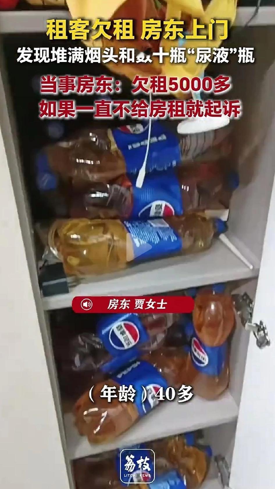 看完了荔枝新闻报道的义乌贾女士的遭遇，隔着屏幕我都觉得一阵恶臭。租客是个40多岁