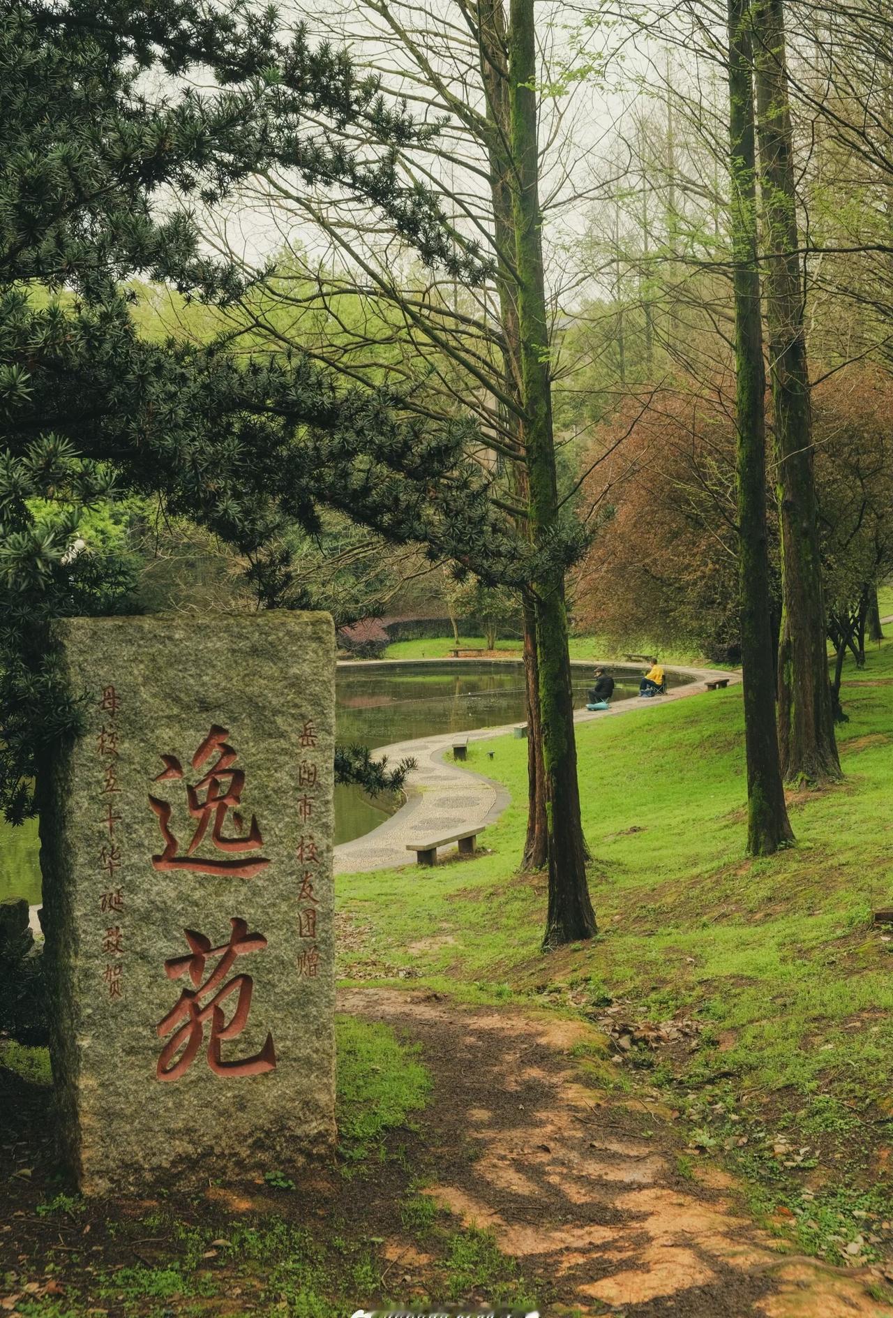 春满逸苑，景醉人间。石碑立起的是情怀，草木生长的是生机，湖畔流淌的是闲意，一砖一