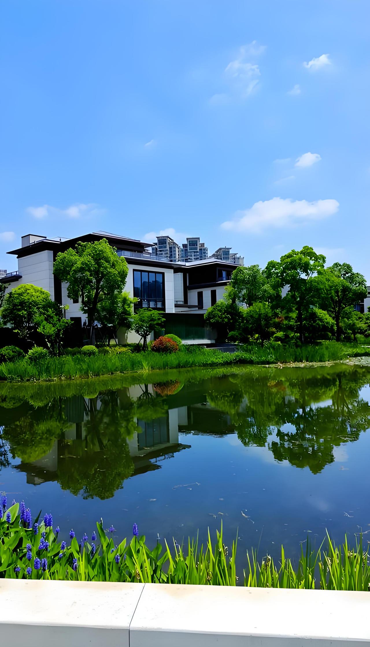 12月中旬上海二手房逆势走俏，背后藏着哪些买家的身影？
 
12月中旬，全国楼市