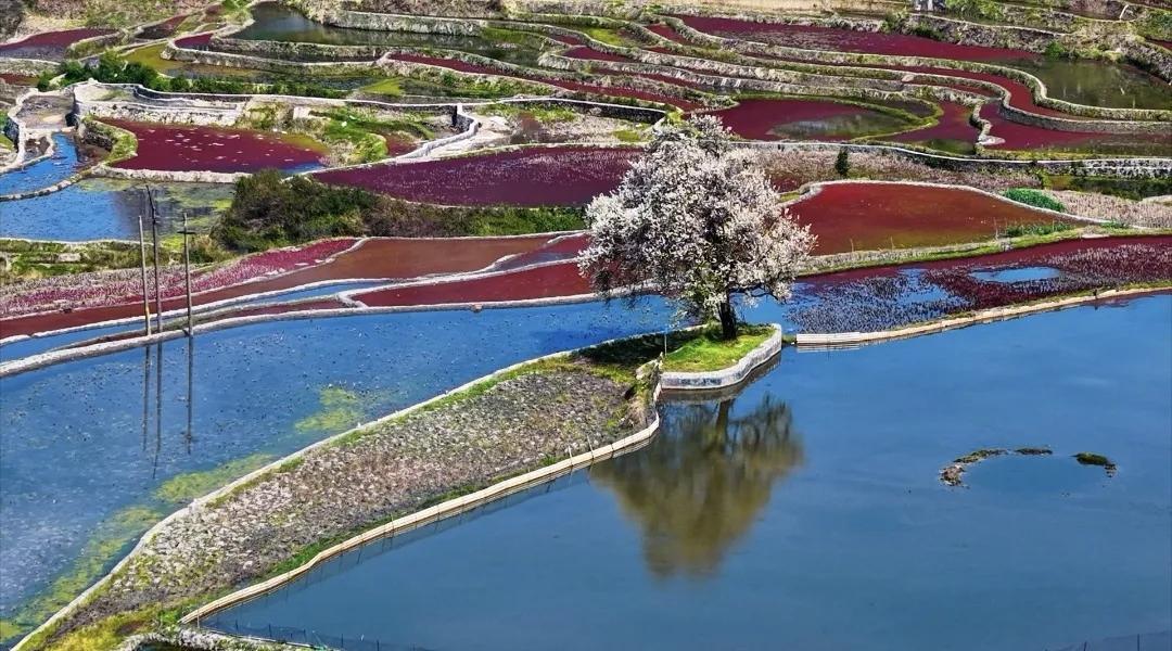 【若想生活幸福，一定要多去能量强、磁场干净的地方】
        生活幸福的秘