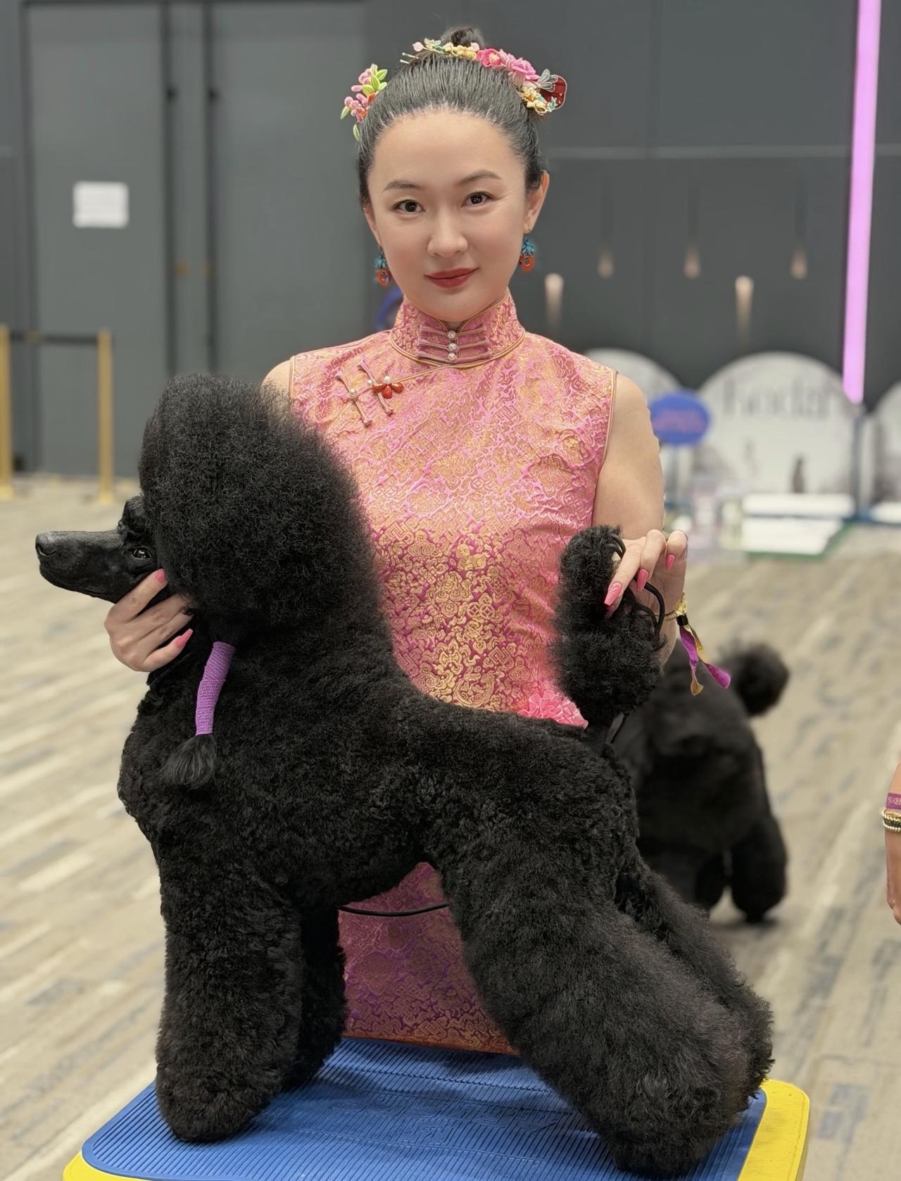 近日，霍思燕带着爱犬“霍蜜蜡”，参加泰国公主青年赛场。

11个月大的幼犬龄“霍