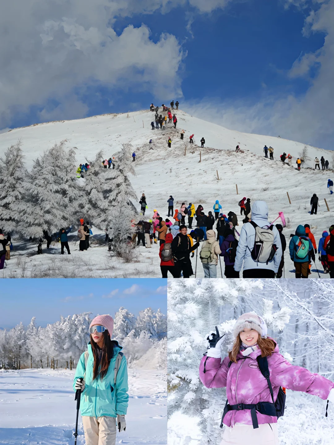 桦皮岭❄️8Km雪国穿越记