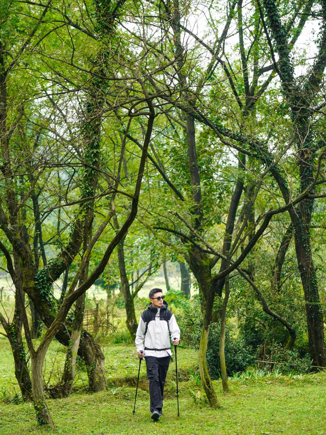 现实版绿野仙踪🍃在这里徒步太治愈了