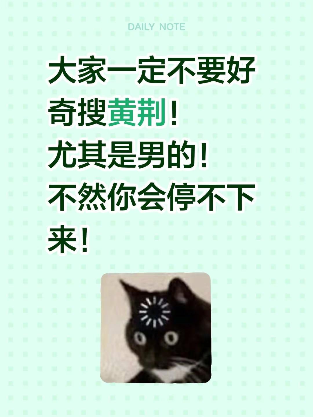 大家一定不要好奇搜黄荆！尤其是男的！不然你会停不下来！黄荆 吐槽 抽象