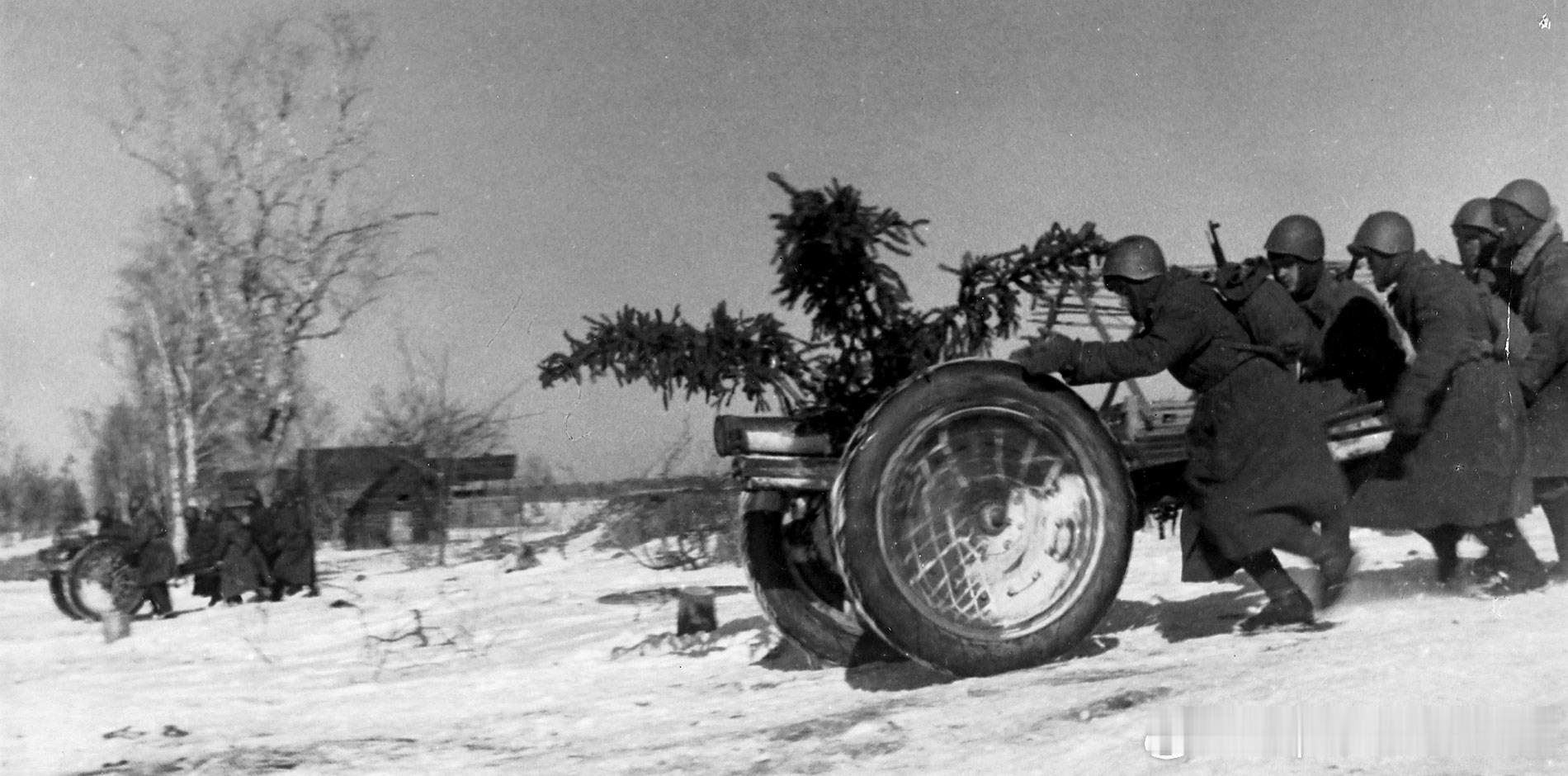 1942年列宁格勒州作战中沃尔霍夫方面军Юсупов尤苏波夫上士推出1门1927