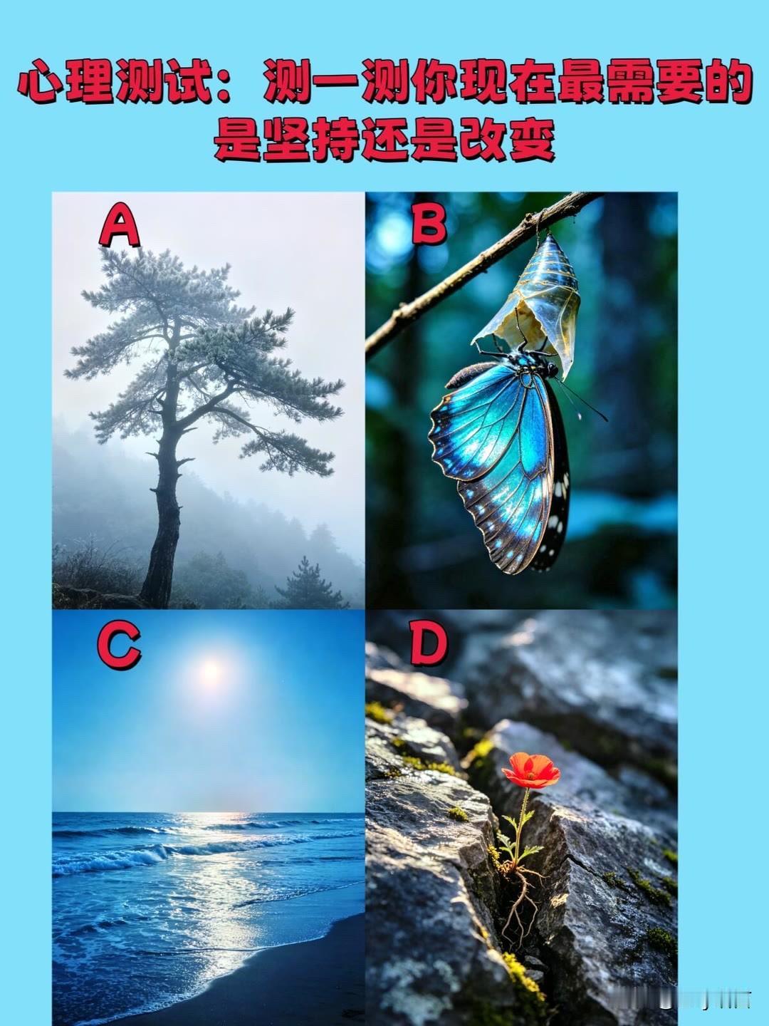是坚持还是改变