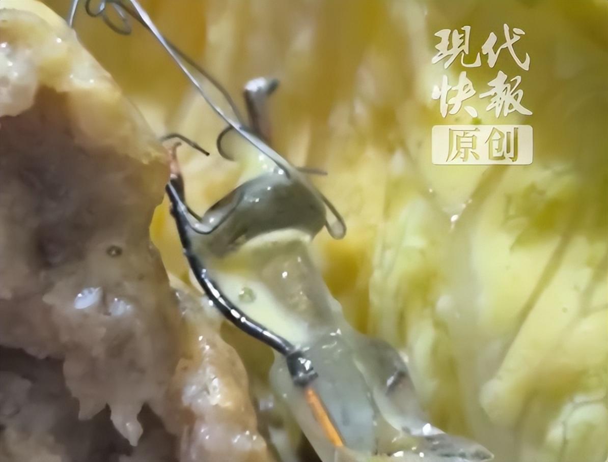 华莱士汉堡被曝吃出破损灯具，消费者：已拨打12315，希望给予商家相应的处罚；店