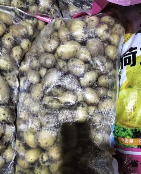 “这事真荒唐！”陕西商洛，一司机运输35吨土豆下高速走绿通，谁知收费员在检查完后