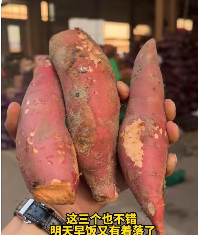 自从看了菜市场捡菜博主的是视频，我再也不去多多上团购和大爷大妈的摊位买菜了，感觉