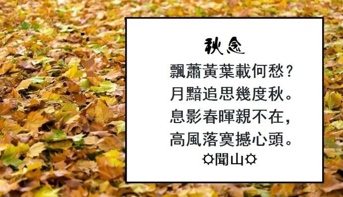 《秋念》
醉倚窗台忆初秋，
画师眼里绝佳节。 
金风簌簌摇霜叶， 
明月悠悠照古