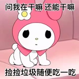 贞安捧情感