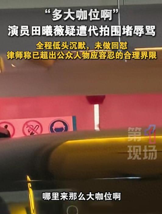田曦薇地下车库遭代拍贴脸嘲讽，多大咖位。

当时夜色已深，密闭的地下车库空间狭小