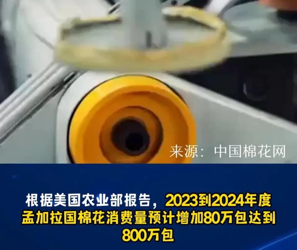 孟加拉国服装出口全球第一。欧美日韩，主要是高端制造业。南亚，东南亚，菲律宾，主要