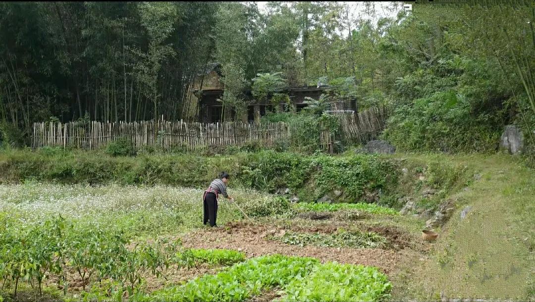 我能忍……因为这是我自己的选择……

我能忍受山里的孤独，因为经历过了热闹与喧嚣
