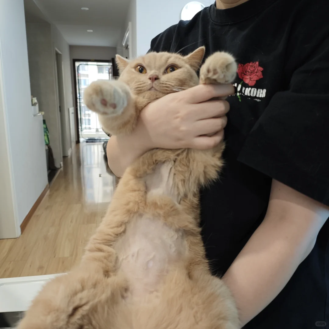 年度体检完成！