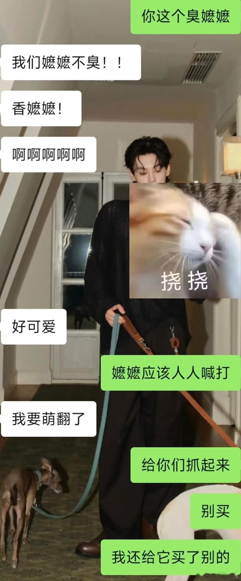 整肃你崛起吧 ​​​