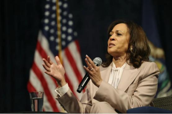 快讯！美国前女副总统哈里斯真厉害竟然把特朗普政府的“底裤”扒了个精光。
 
4月