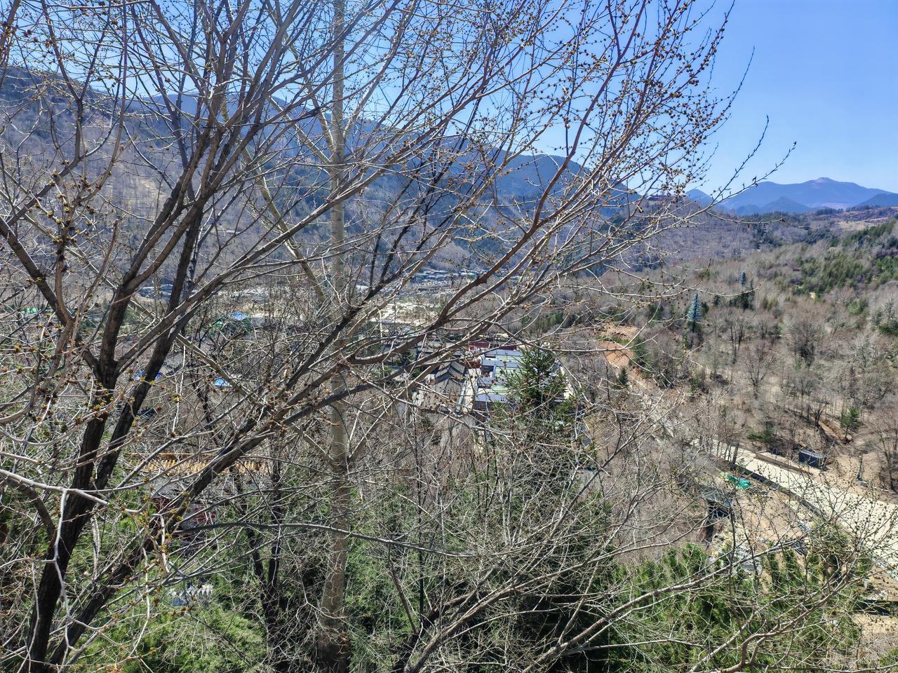 心中有念，随处有景。