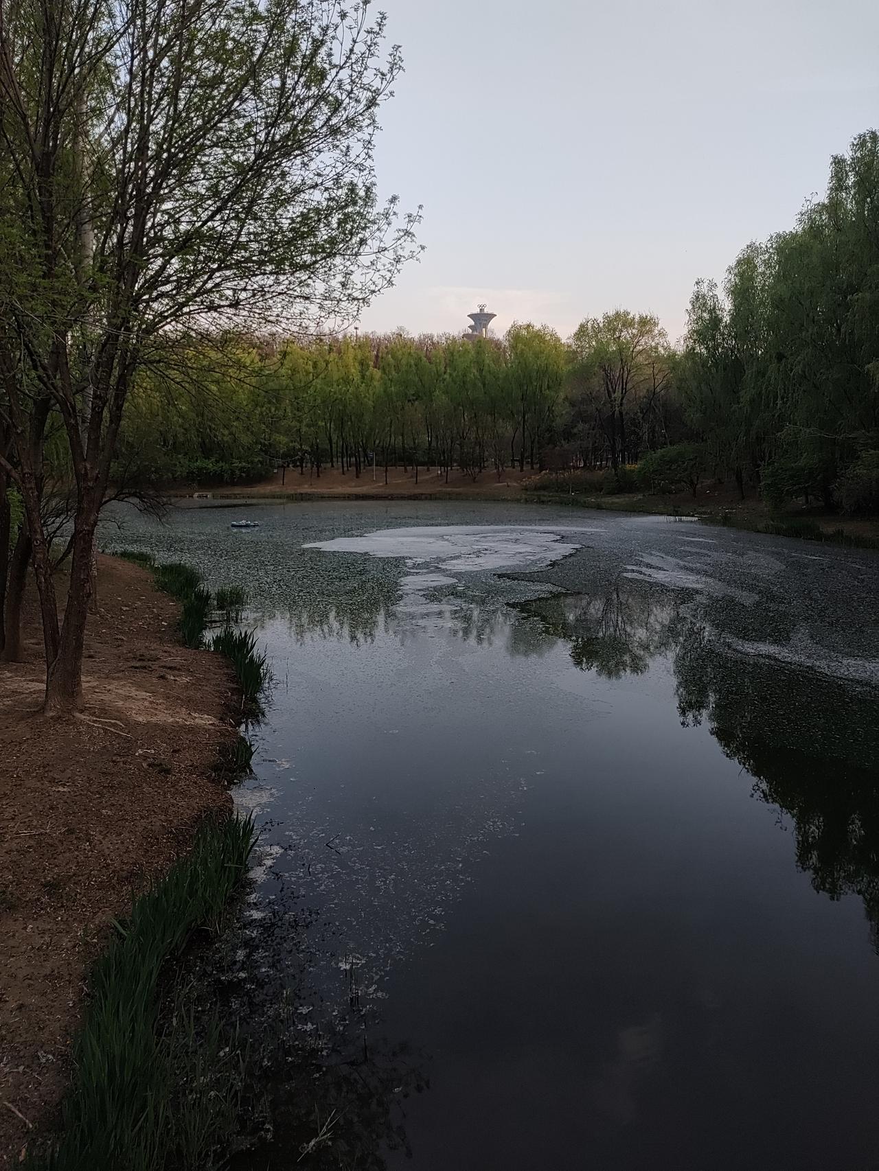 看出来没有
其实河面都是柳絮
只是没有看出来

所以呀
照骗

眼见，不一定为实